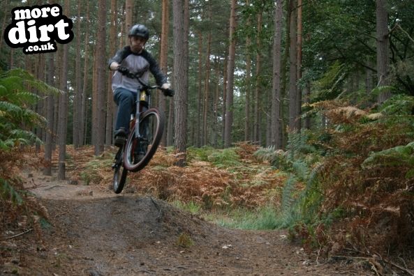 Swinley Forest Mountain Bike Centre