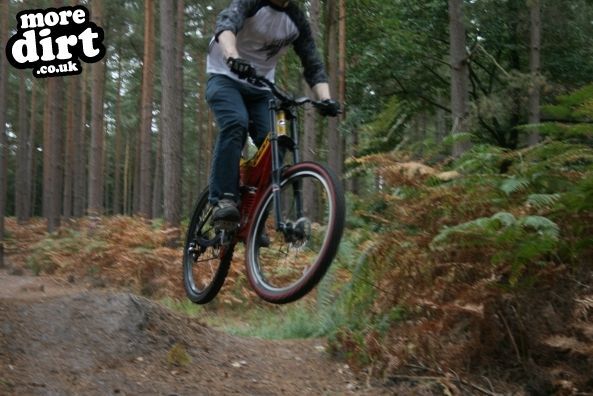 Swinley Forest Mountain Bike Centre