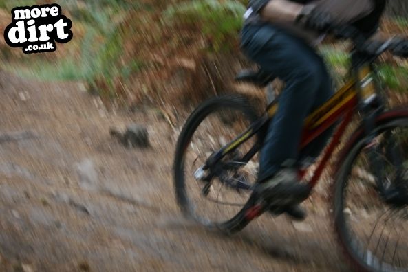 Swinley Forest Mountain Bike Centre