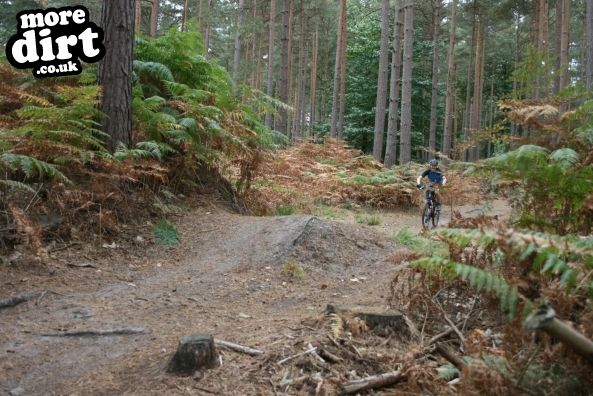 Swinley Forest Mountain Bike Centre