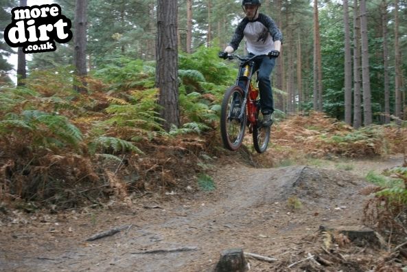 Swinley Forest Mountain Bike Centre