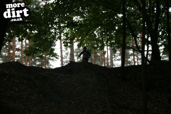 Swinley Forest Mountain Bike Centre