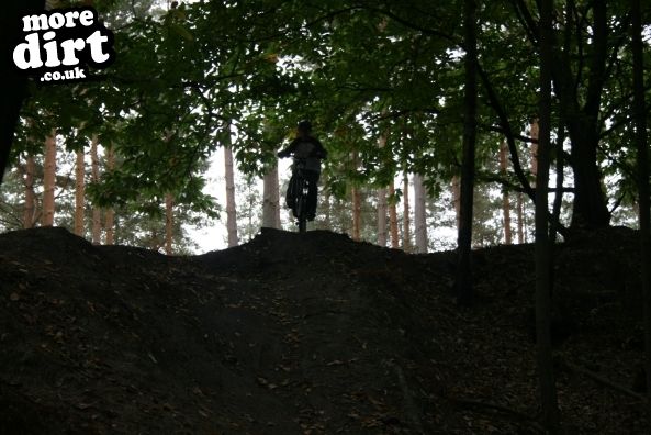 Swinley Forest Mountain Bike Centre