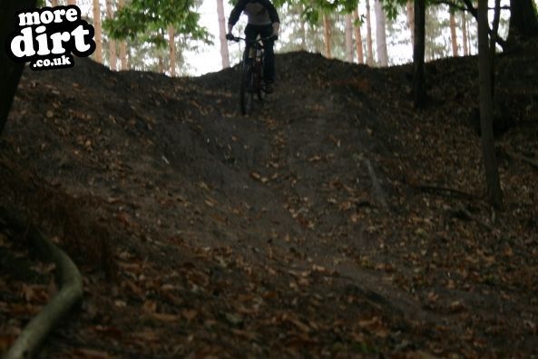 Swinley Forest Mountain Bike Centre