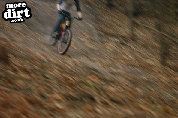 Swinley Forest Mountain Bike Centre