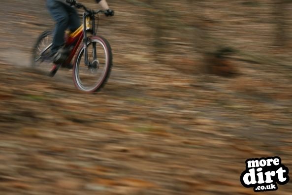 Swinley Forest Mountain Bike Centre