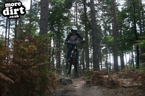 Swinley Forest Mountain Bike Centre