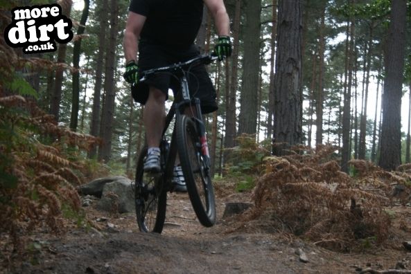 Swinley Forest Mountain Bike Centre