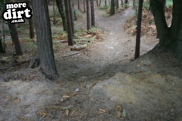 Swinley Forest Mountain Bike Centre