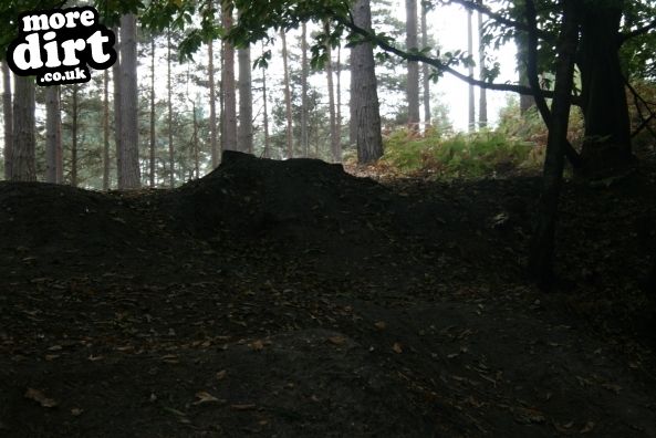Swinley Forest Mountain Bike Centre