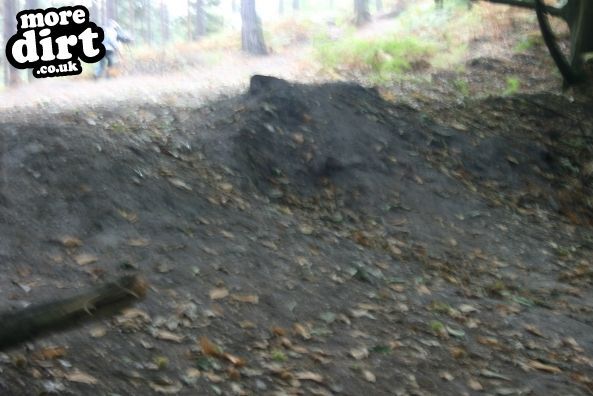 Swinley Forest Mountain Bike Centre