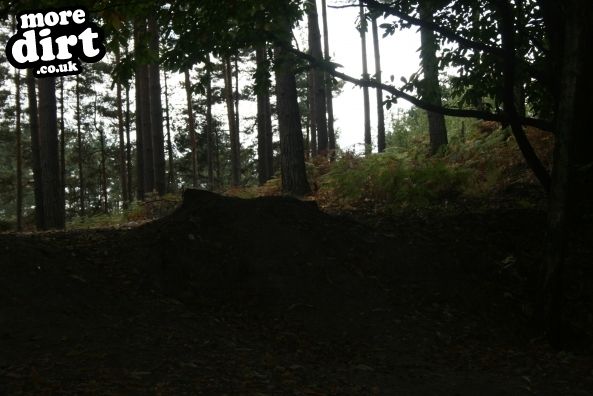 Swinley Forest Mountain Bike Centre