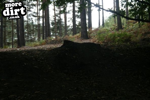 Swinley Forest Mountain Bike Centre