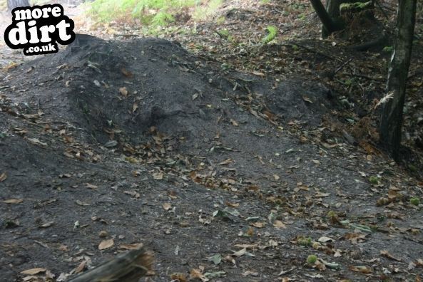 Swinley Forest Mountain Bike Centre