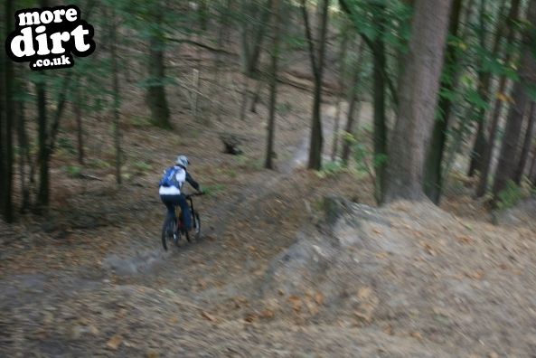 Swinley Forest Mountain Bike Centre