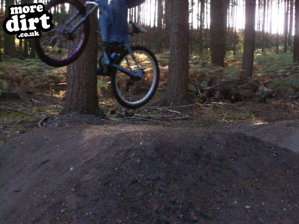 Watchmoor Wood Mountain Bike Park
