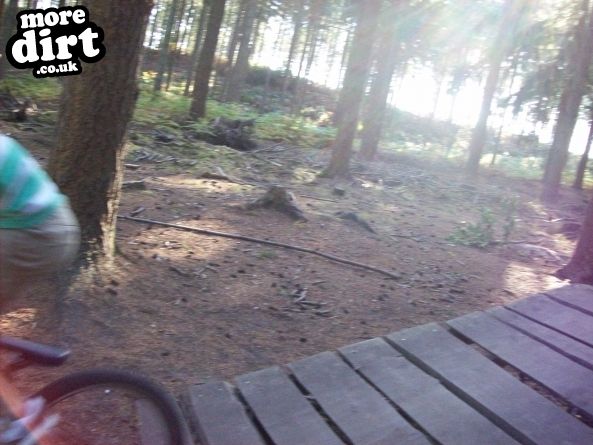 Watchmoor Wood Mountain Bike Park