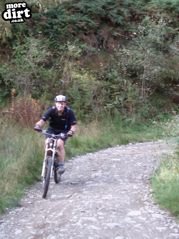 Red Trail - Coed Llandegla Forest