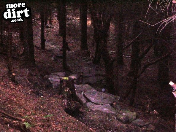 Norwood Edge Trail - Stainburn Forest