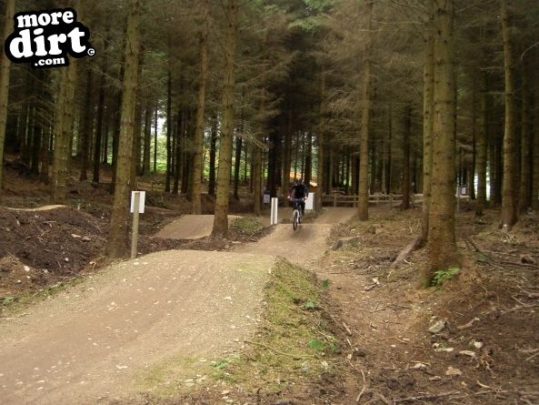 Skills Area - Coed Llandegla Forest