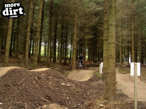 Skills Area - Coed Llandegla Forest