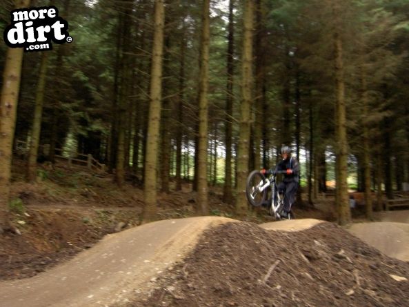 Skills Area - Coed Llandegla Forest