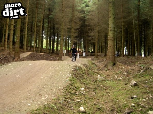 Skills Area - Coed Llandegla Forest