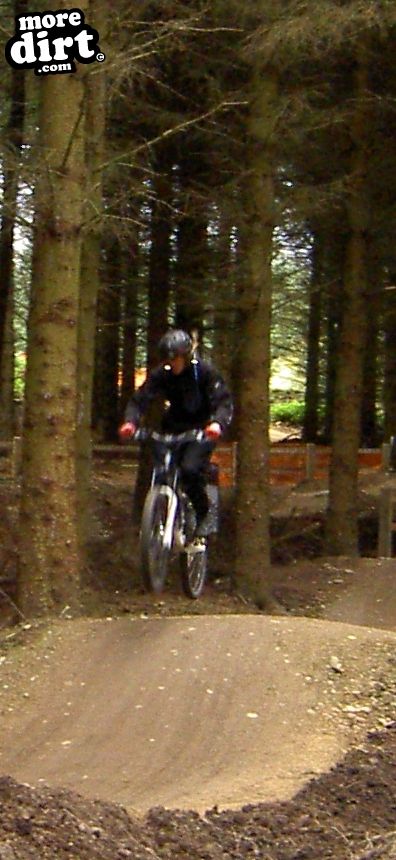 Skills Area - Coed Llandegla Forest