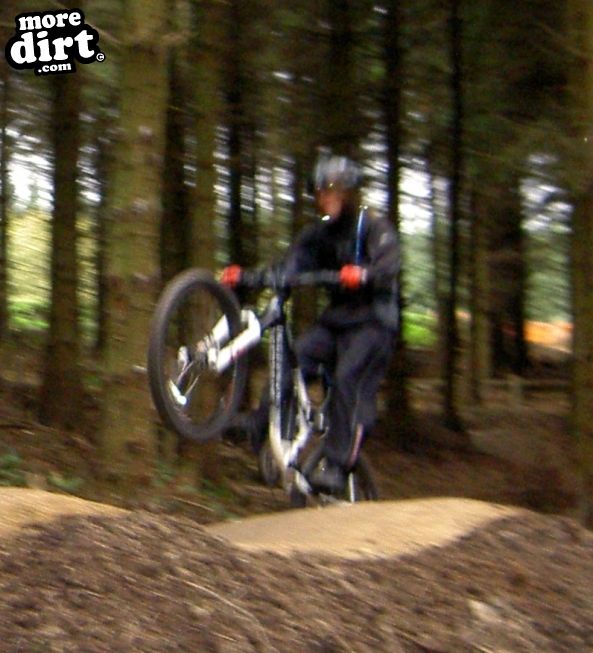 Skills Area - Coed Llandegla Forest