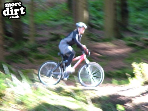 The Wall Trail - Afan Forest