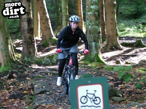 The Wall Trail - Afan Forest