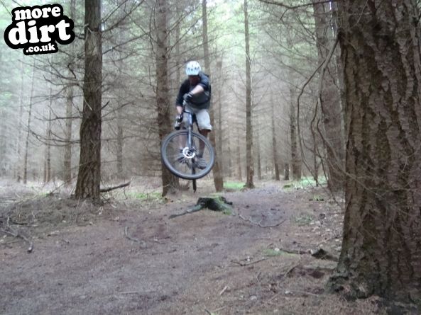 Wyre Forest Mountain Bike Trails