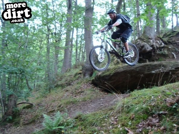 Wyre Forest Mountain Bike Trails