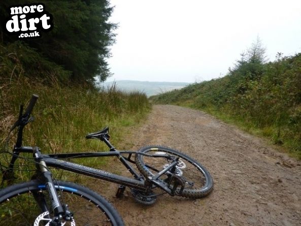 Penhydd Trail -  Afan Forest