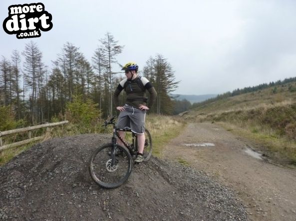 Penhydd Trail -  Afan Forest