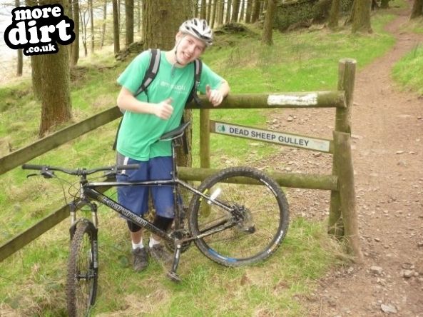 Penhydd Trail -  Afan Forest