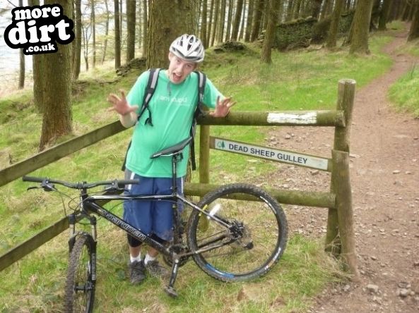 Penhydd Trail -  Afan Forest