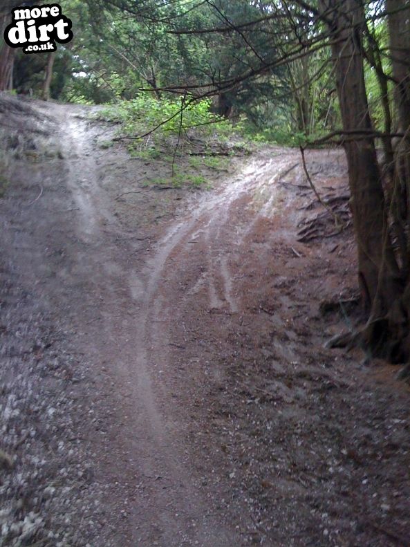 Detling Hill - North Downs Way