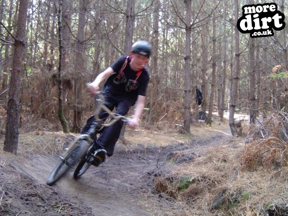 Swinley Forest Mountain Bike Centre