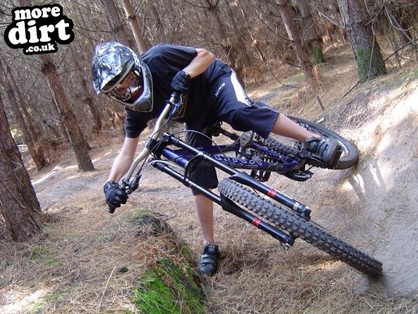 Swinley Forest Mountain Bike Centre