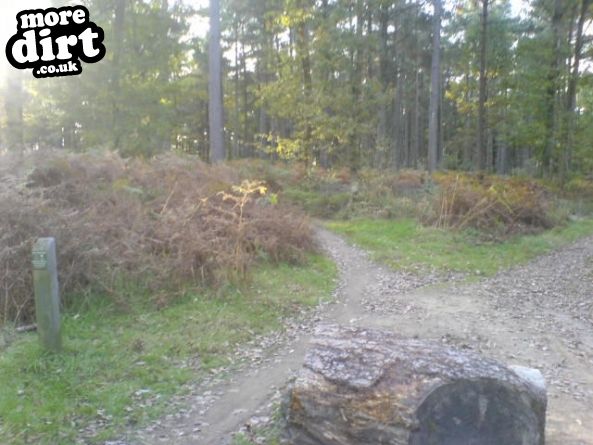 Barry Knows Best (BKB)