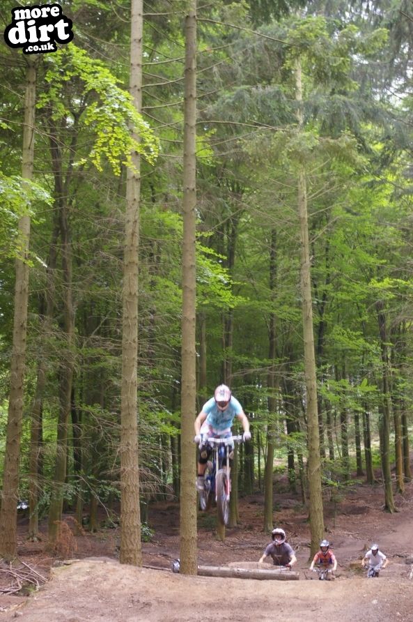 Rogate Downhill Mountain Bike Park