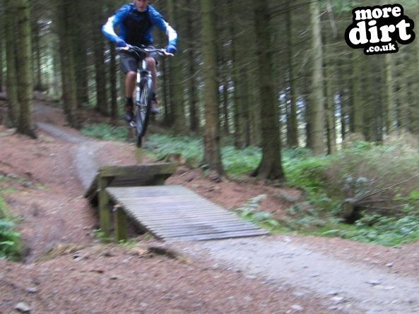 Black Trail - Coed Llandegla Forest