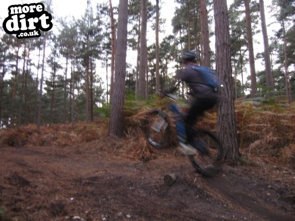Swinley Forest Mountain Bike Centre