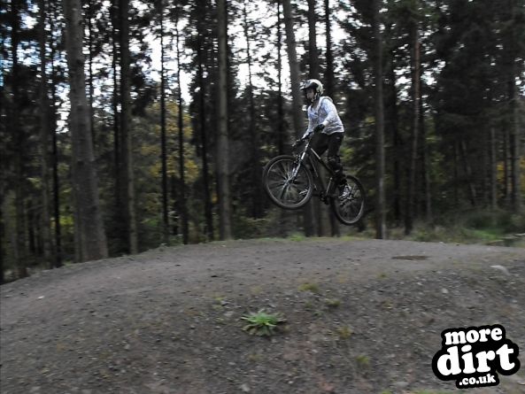 Mabie Forest - Skills Area