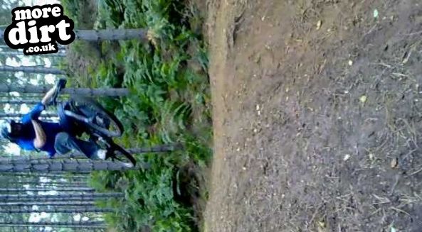 Chicksands Bike Park