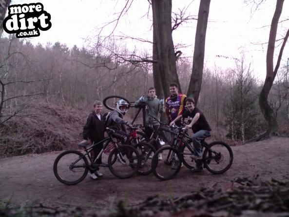 Delamere Forest Mountain Bike Trails