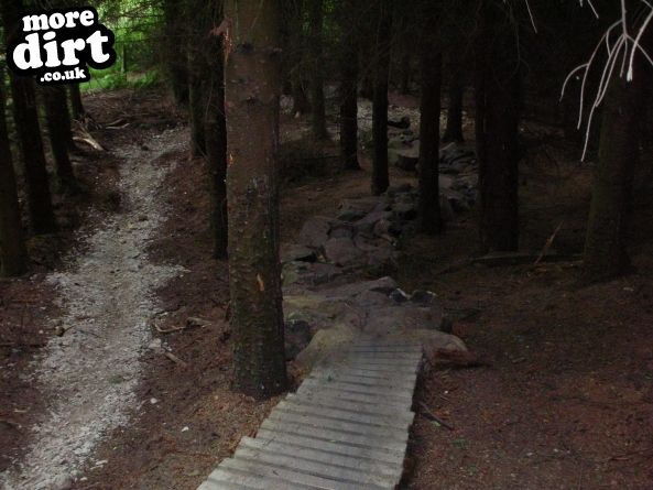 Norwood Edge Trail - Stainburn Forest