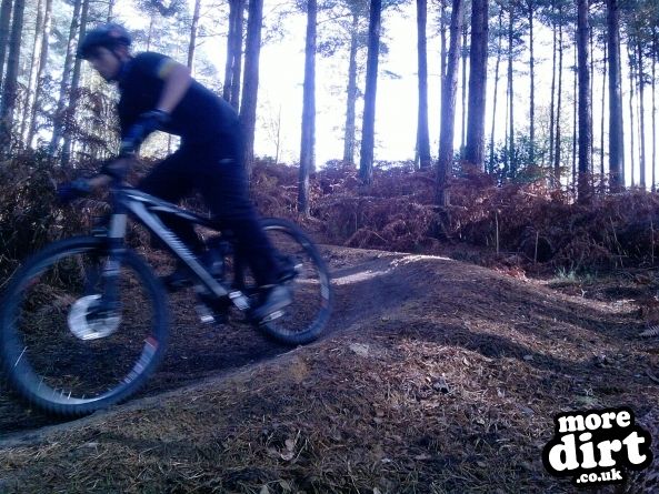 Barry Knows Best (BKB)