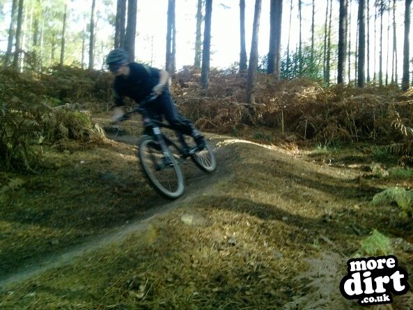 Barry Knows Best (BKB)